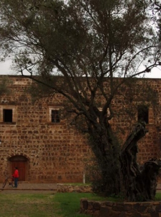 Tradiciones y cultura